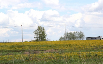 Продажа земли 5, 58 сот. (ИЖС)